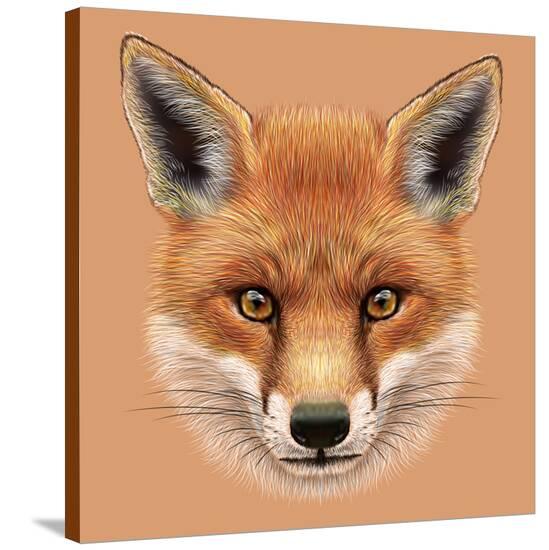 illustrative portrait of a red fox the cute fluffy face of forest