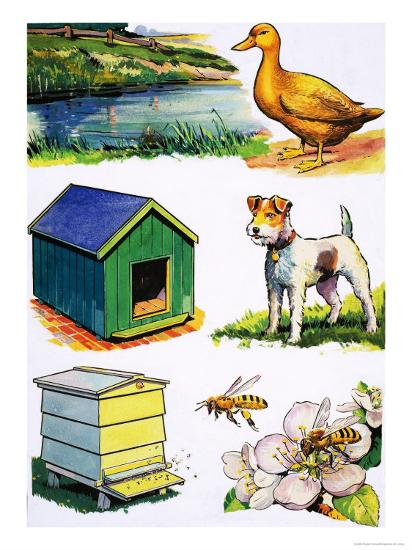 Animals And Their Homes Worksheets For Kids Animals And Their Homes Worksheets For Kids