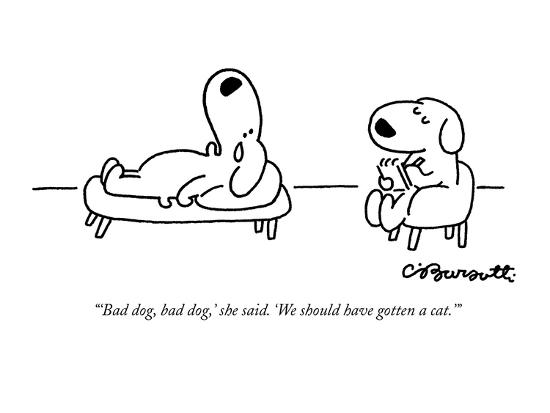bad dog bad dog she said we should have gotten a cat new