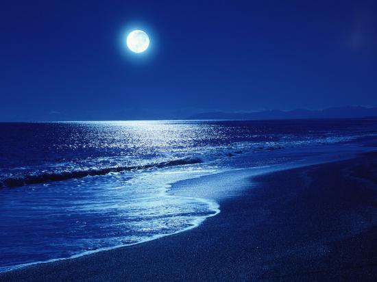 Image result for Moonlight by the ocean