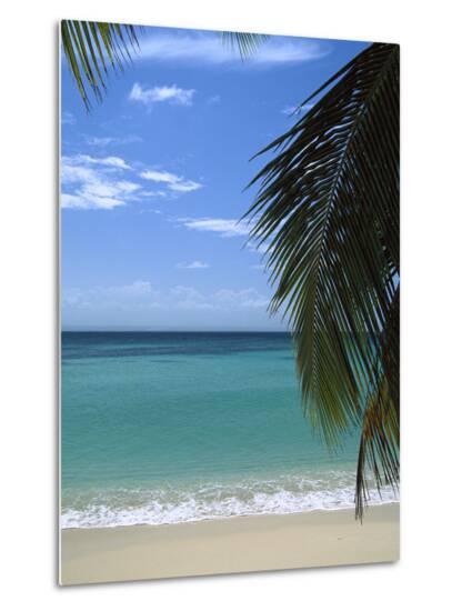 Palm Fronds Frame Bacardi Beach And Lagoon Dominican Republic Palm Fronds Frame Bacardi Beach And Lagoon Dominican Republic Caribbean
