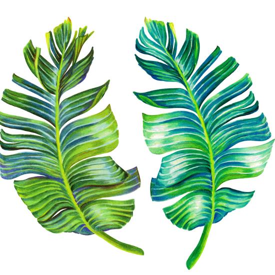single isolated banana leaf art print by rosapompelmo at art co uk