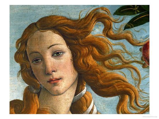 Sandro Botticellit Painted This Picture Sandro Botticellit Painted This Picture