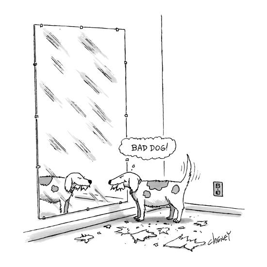 mischievous dog looking at self in mirror thinking bad dog
