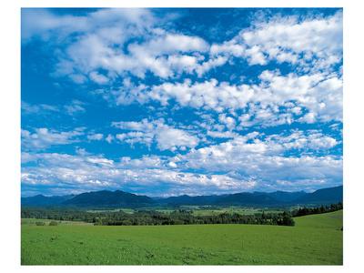 Bavaria Blue Bavaria Blue